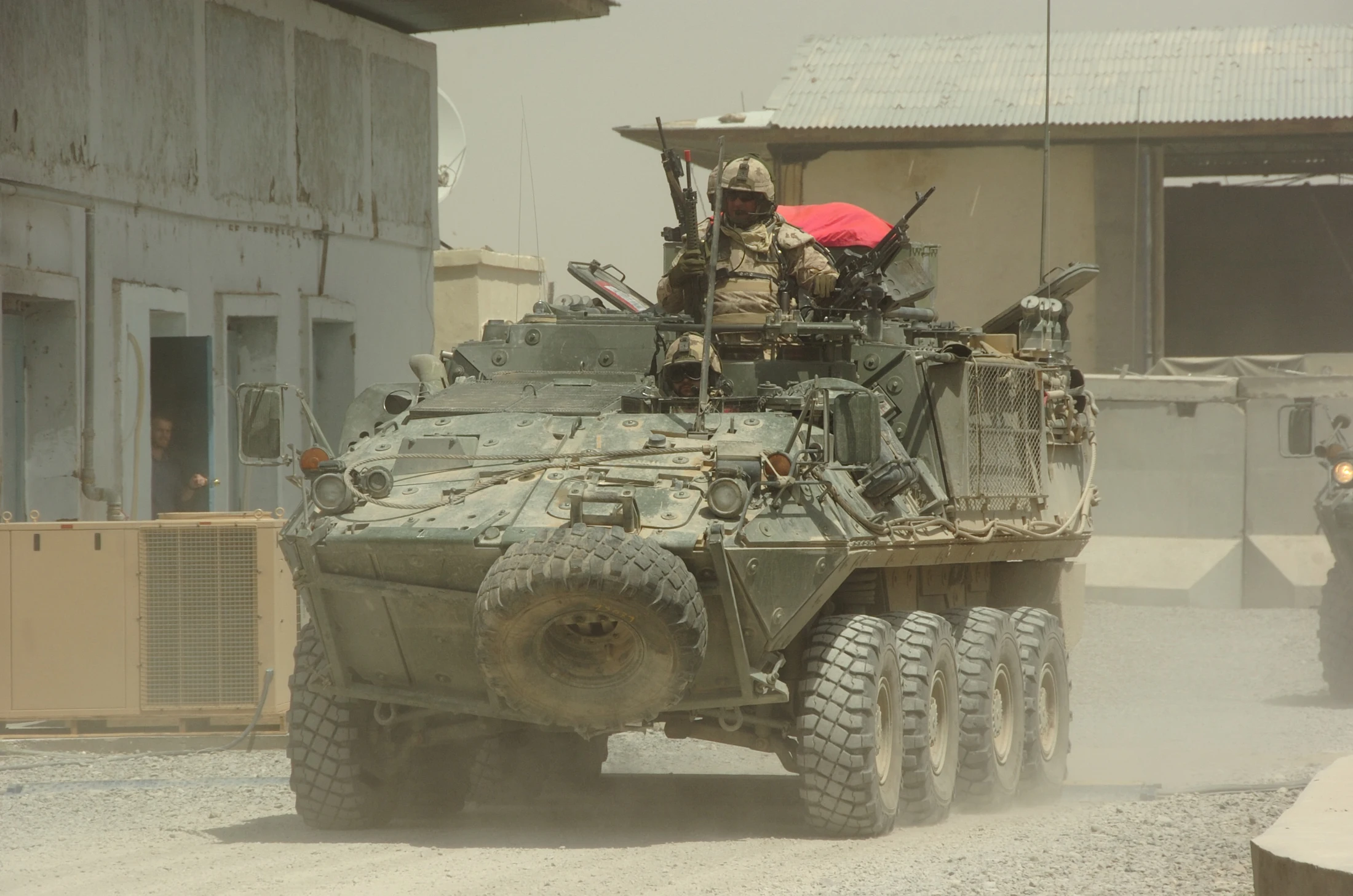 Bison travelling through a built-up area in Afghanistan